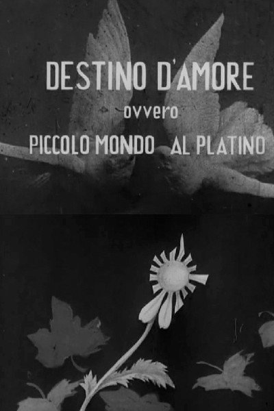 Póster de Destino d'amore