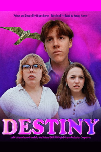 Póster de Destiny