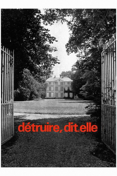 Póster de Destroy, She Said