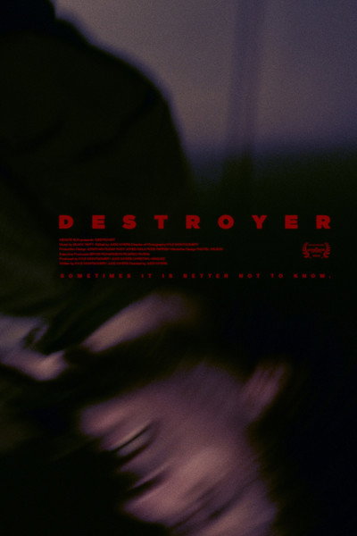 Póster de Destroyer
