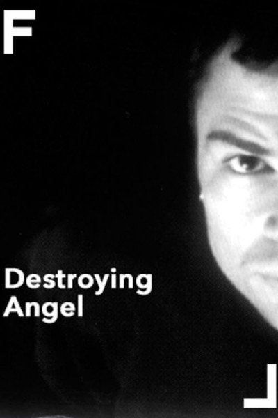 Póster de Destroying Angel