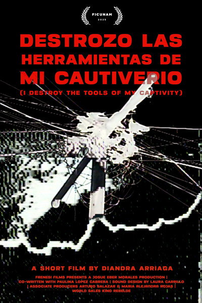 Póster de Destrozo las herramientas de mi cautiverio