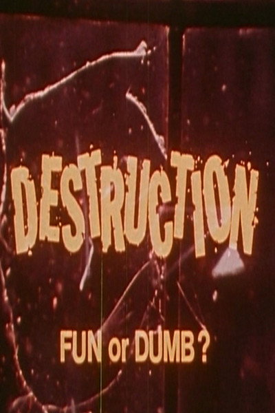 Póster de Destruction: Fun or Dumb?