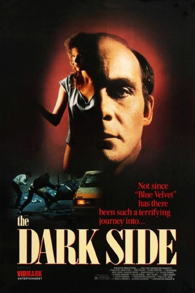 Póster de Destructor de la noche