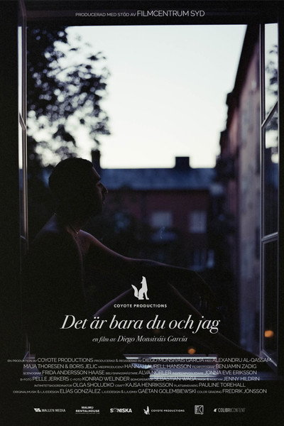 Póster de Det är bara du och jag