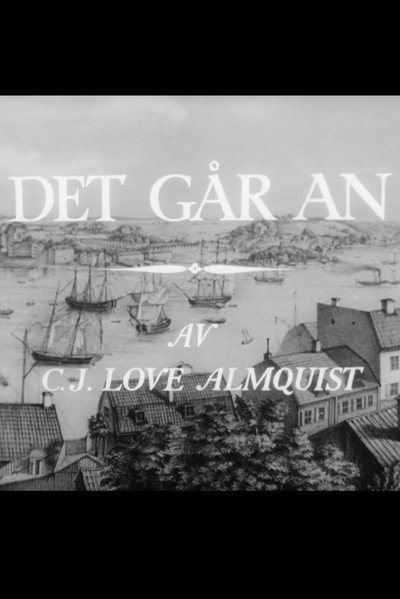Póster de Det går an