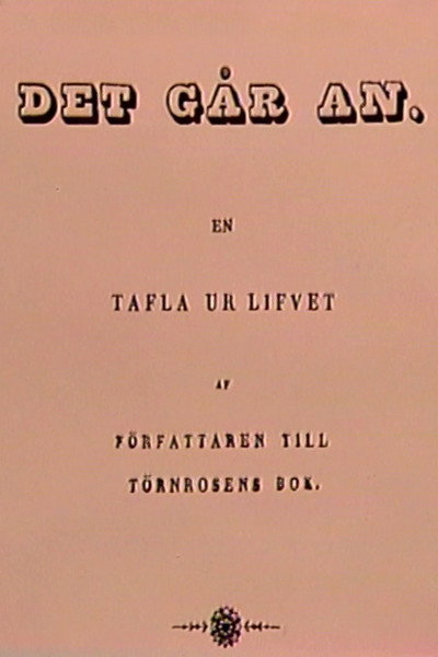 Póster de Det går an