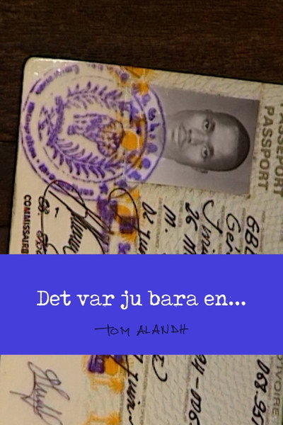 Póster de Det var ju bara en neger