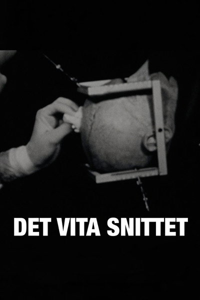 Póster de Det vita snittet