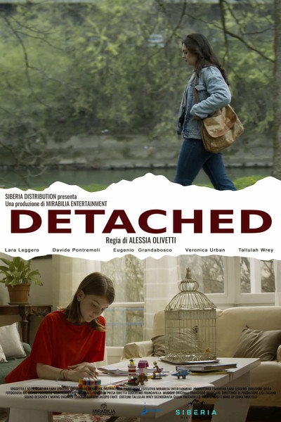 Póster de Detached