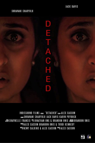 Póster de Detached
