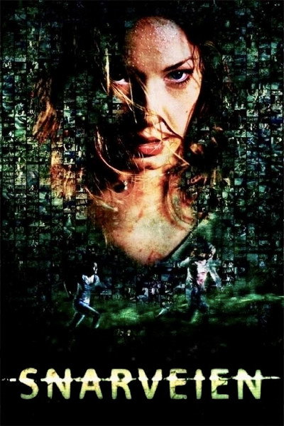 Póster de Detour