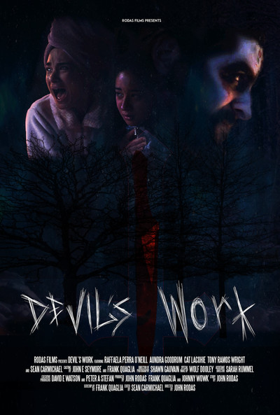Póster de Devil's Work