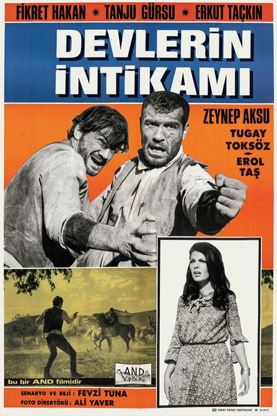 Póster de Devlerin intikami