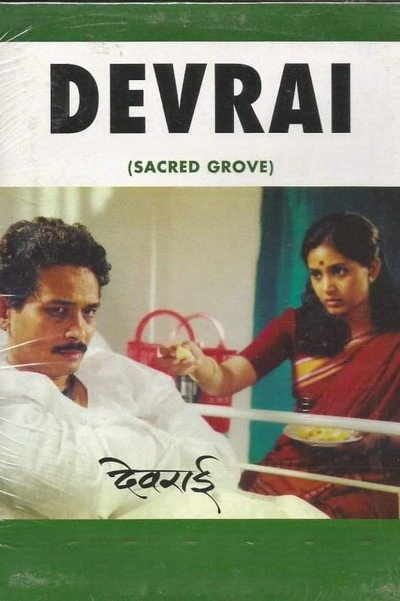 Póster de Devrai