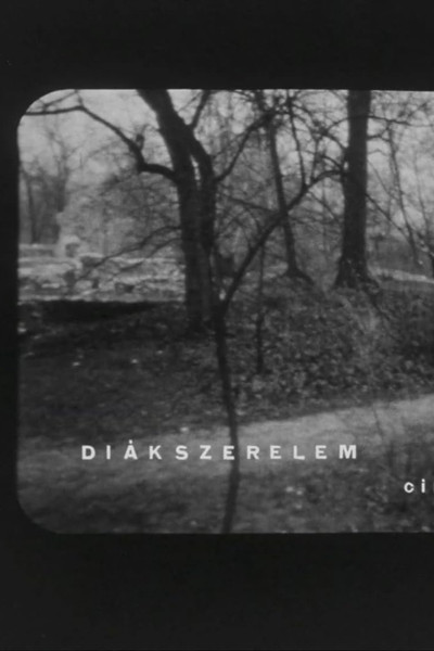 Póster de Diákszerelem