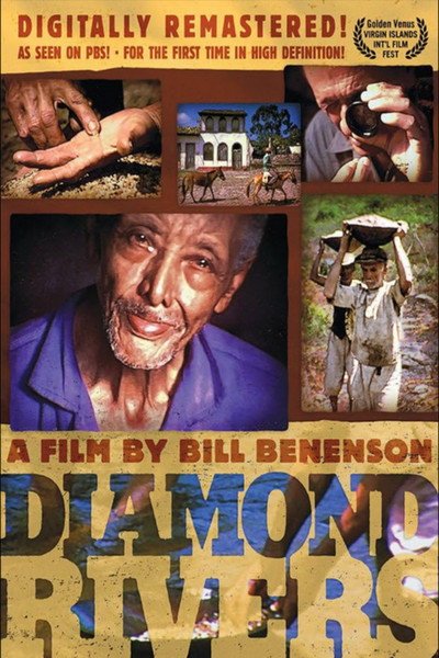 Póster de Diamond Rivers