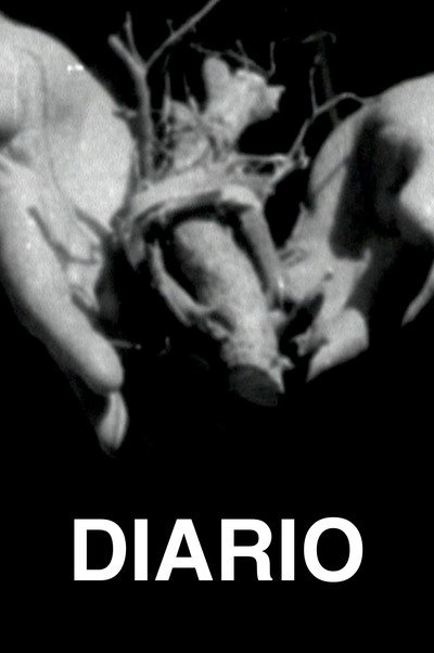 Póster de Diario