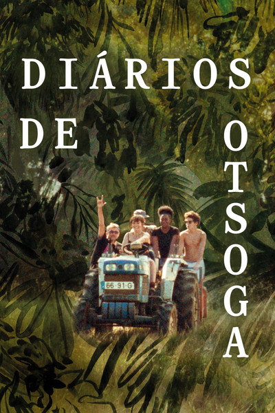 Póster de Diarios de Otsoga