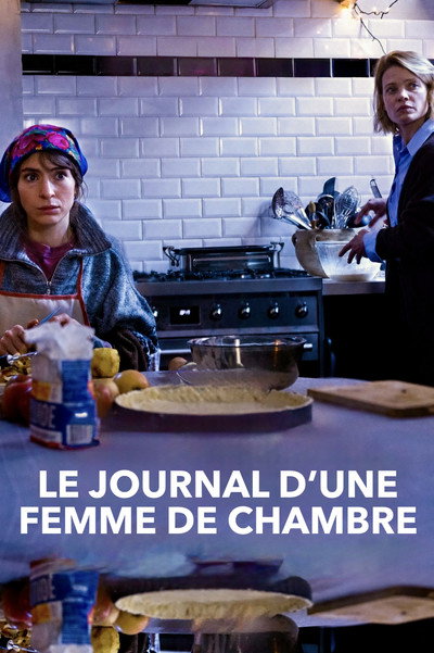 Póster de Diary of a Chambermaid