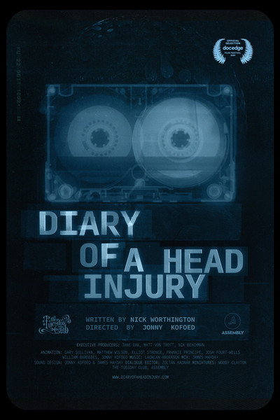 Póster de Diary of a Head Injury
