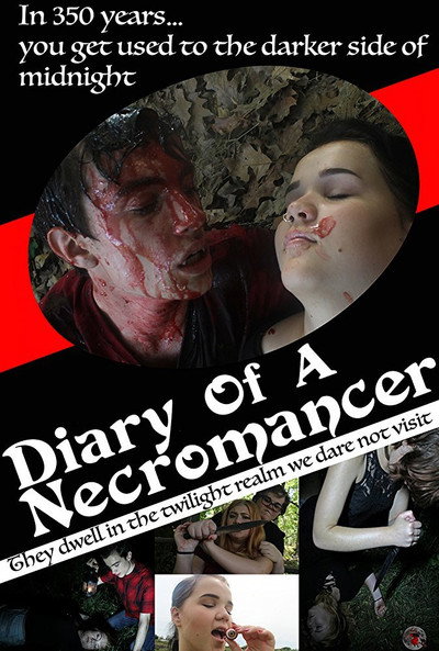 Póster de Diary of a Necromancer