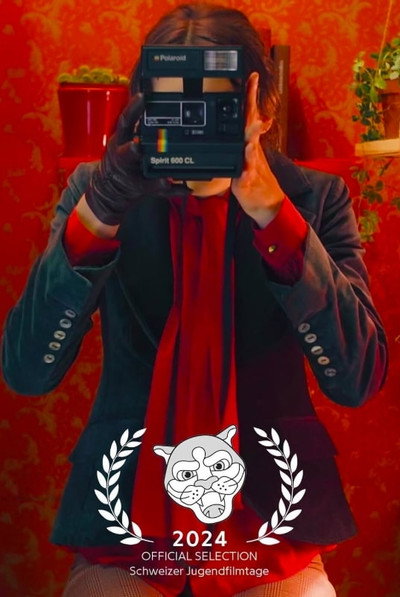 Póster de Diary of a Photobooth
