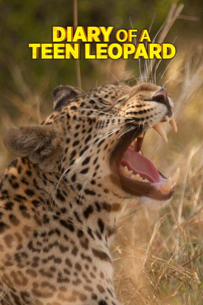 Póster de Diary of a Teen Leopard