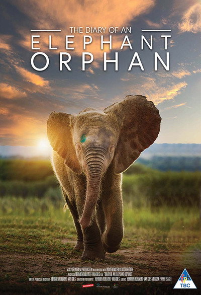 Póster de Diary of an Elephant Orphan