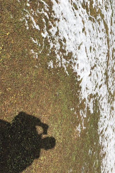 Póster de Diary Without Words