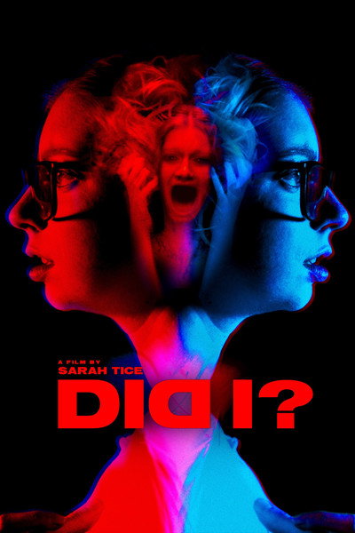 Póster de Did I?