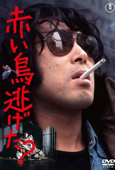 Póster de Did the Red Bird Escape?