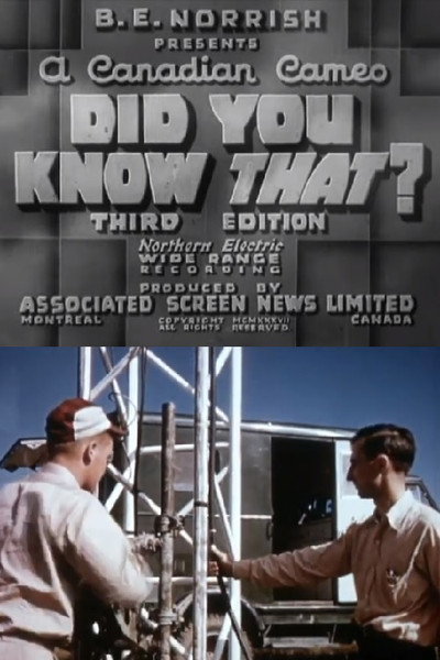 Póster de Did You Know That? Third Edition
