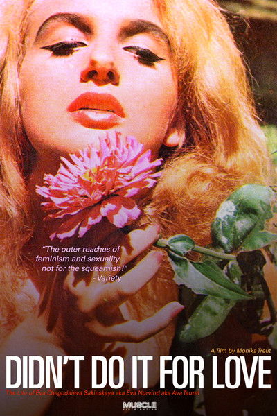 Póster de Didn't Do It for Love