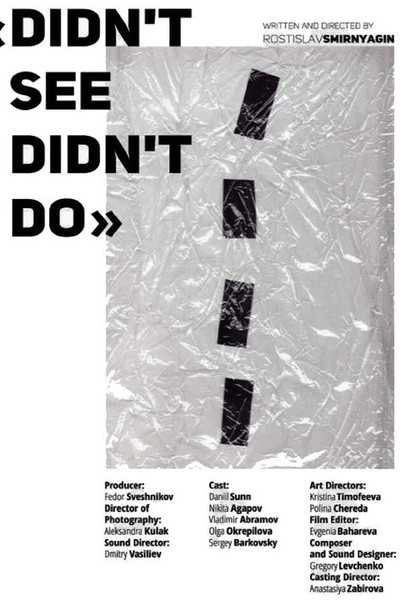 Póster de Didn't See Didn't Do