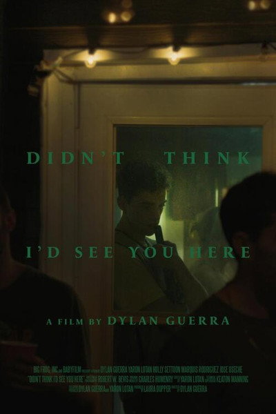 Póster de Didn't Think I'd See You Here
