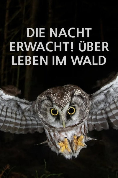 Póster de Die Nacht erwacht! Über Leben im Wald