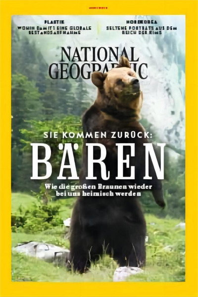 Póster de Die Rückkehr der Bären