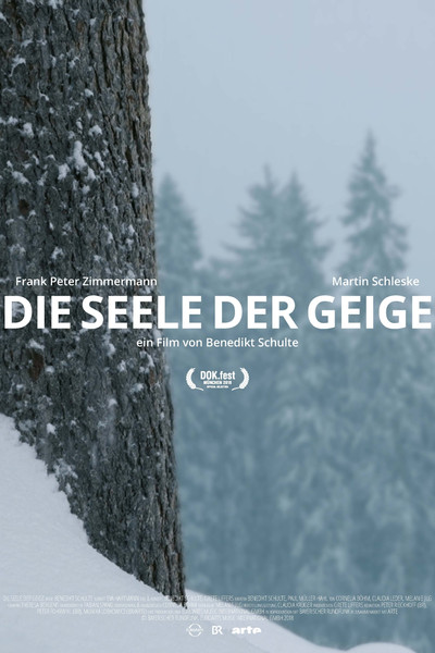 Póster de Die Seele der Geige