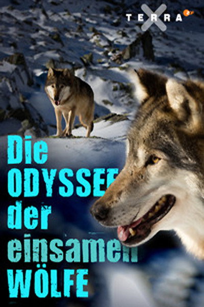 Póster de Die tödliche Grenze