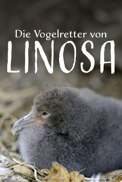 Póster de Die Vogelretter von Linosa