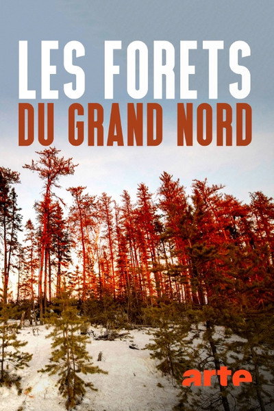 Póster de Die Wälder des Nordens