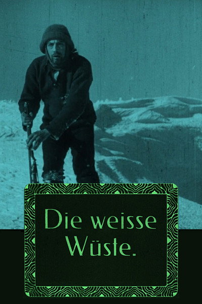 Póster de Die weisse Wüste