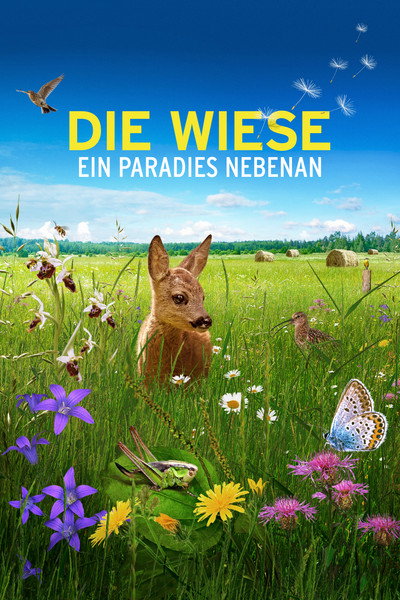 Póster de Die Wiese