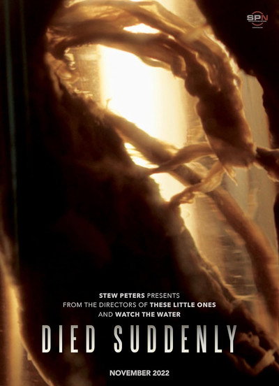 Póster de Died Suddenly