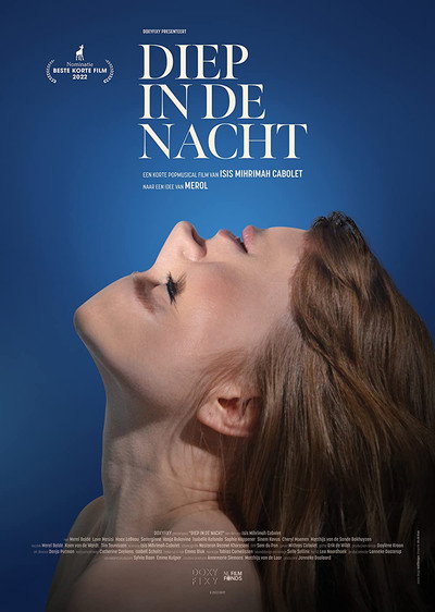 Póster de Diep in de nacht