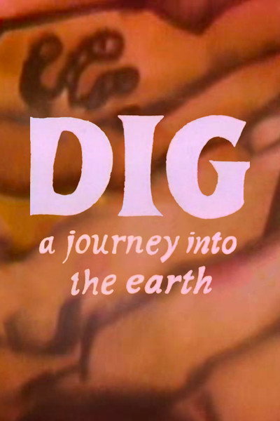 Póster de Dig