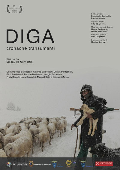 Póster de Diga