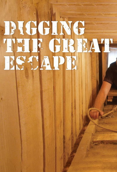 Póster de Digging the Great Escape
