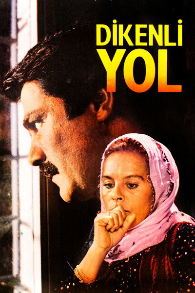 Póster de Dikenli Yol